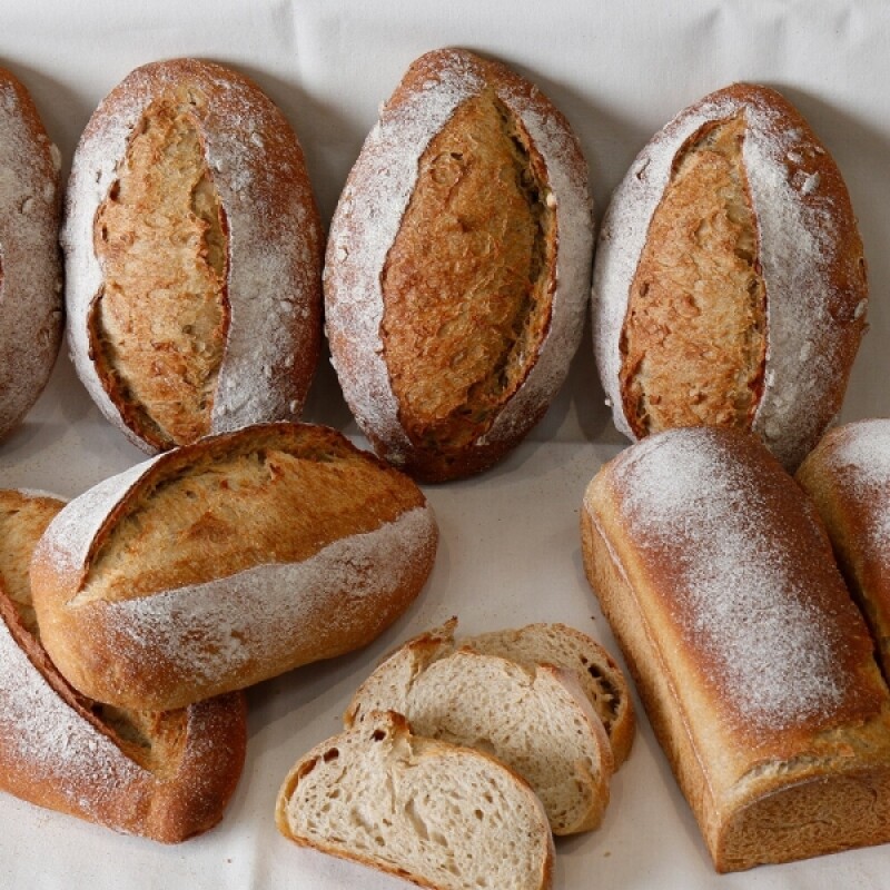 텃밭브레드,파머대디,통밀빵,통밀베이글,통밀치아바타,통밀포카치아,우리밀소금빵,우리밀통밀,우리밀빵,우리밀통밀빵,통밀빵, 치아바타, 통밀식빵, 통밀우리밀, 포카치아, 우리밀빵, 샌드위치빵, 건강빵, 비건, 식사대용